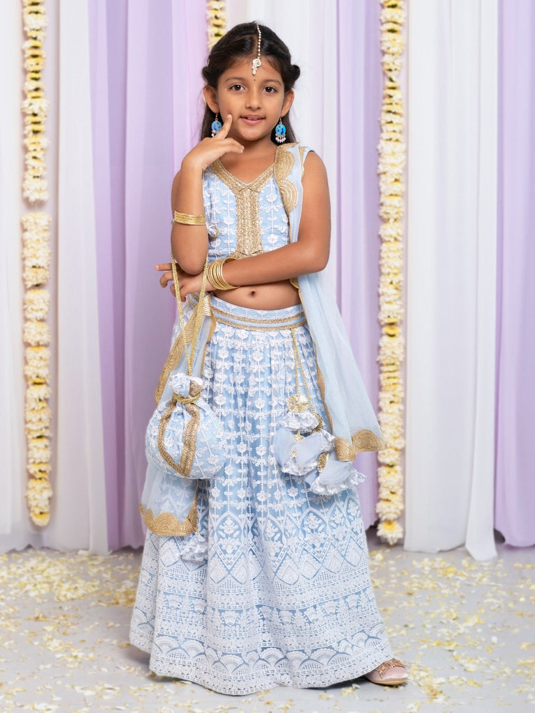 Embroidered Net Powder Blue Lehenga SetLEHENGAFREE SPARROW