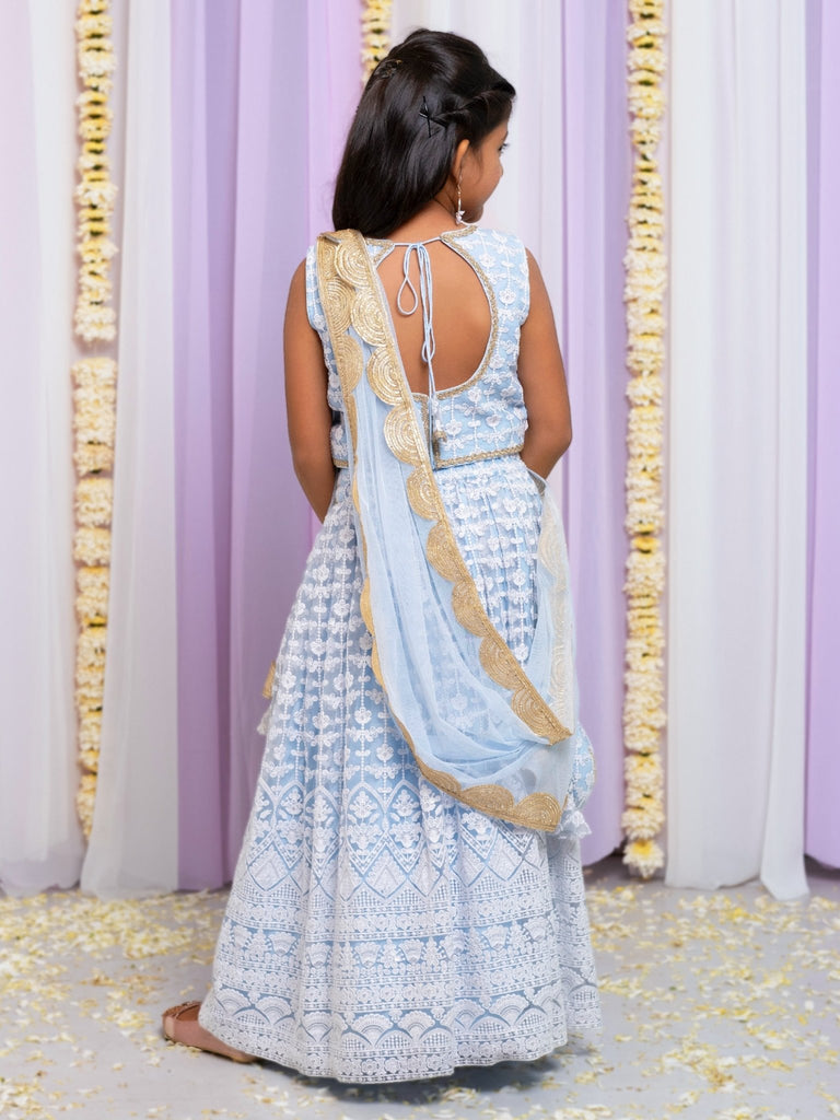 Embroidered Net Powder Blue Lehenga SetLEHENGAFREE SPARROW