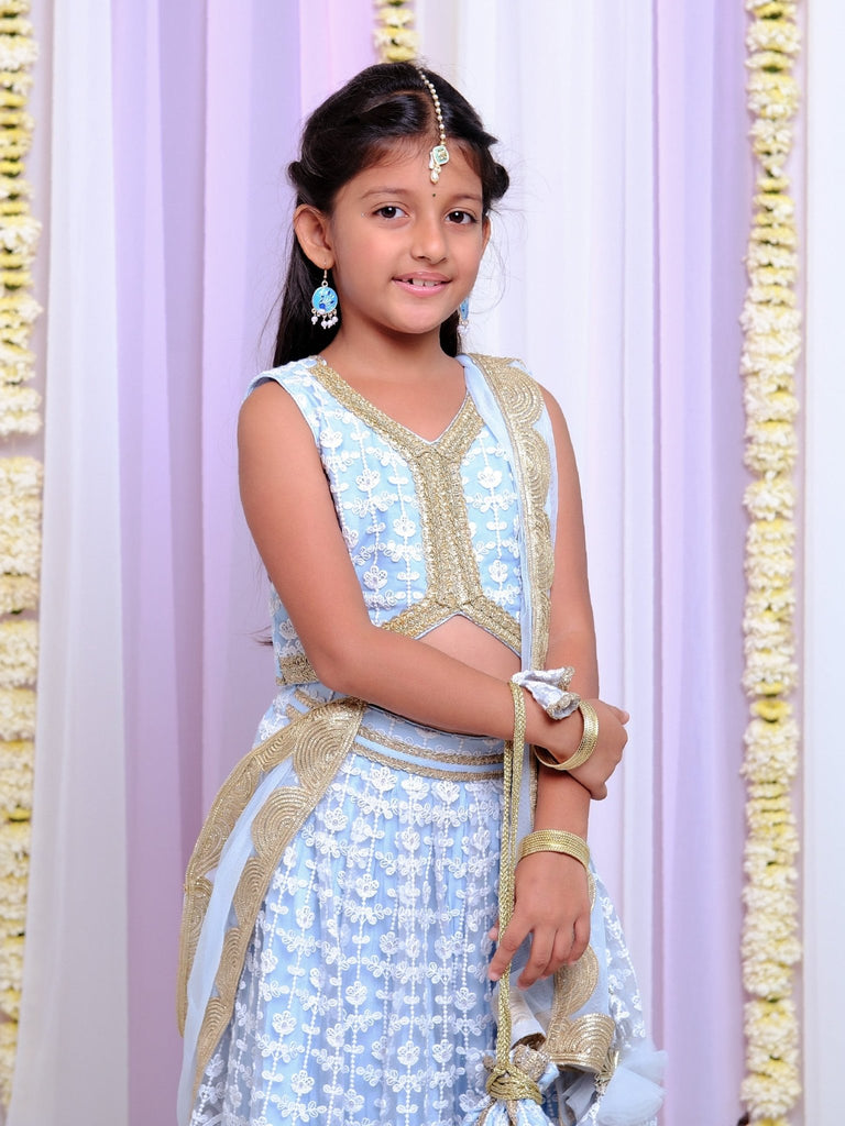 Embroidered Net Powder Blue Lehenga SetLEHENGAFREE SPARROW