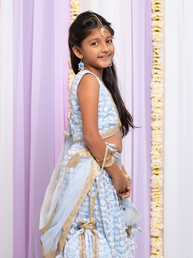 Embroidered Net Powder Blue Lehenga SetLEHENGAFREE SPARROW