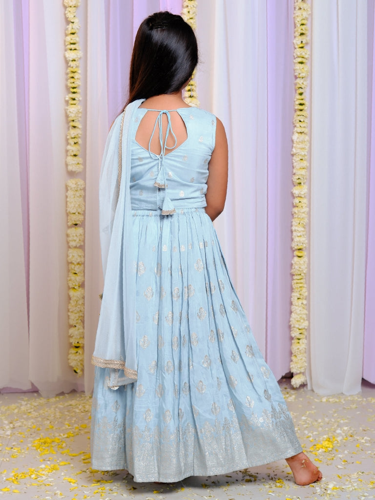 Embroidered Powder Blue Lehenga SetLEHENGAFREE SPARROW