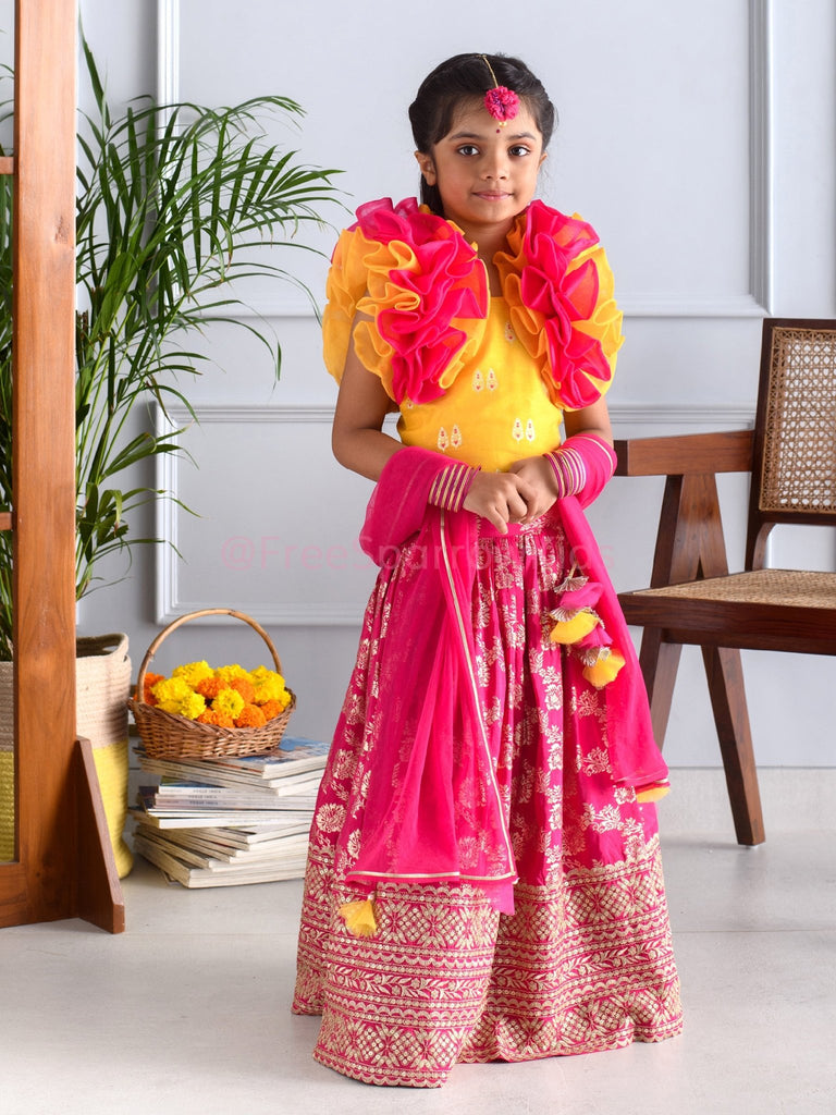 Butterfly Blush Lehenga SetLEHENGAFREE SPARROW