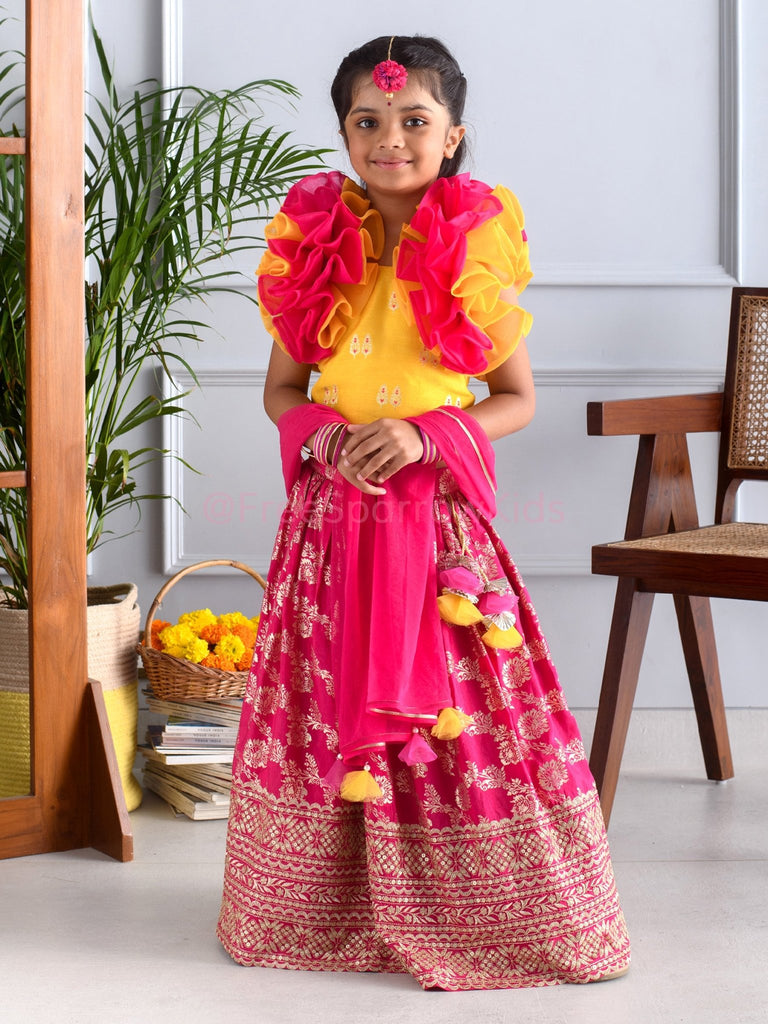Butterfly Blush Lehenga SetLEHENGAFREE SPARROW