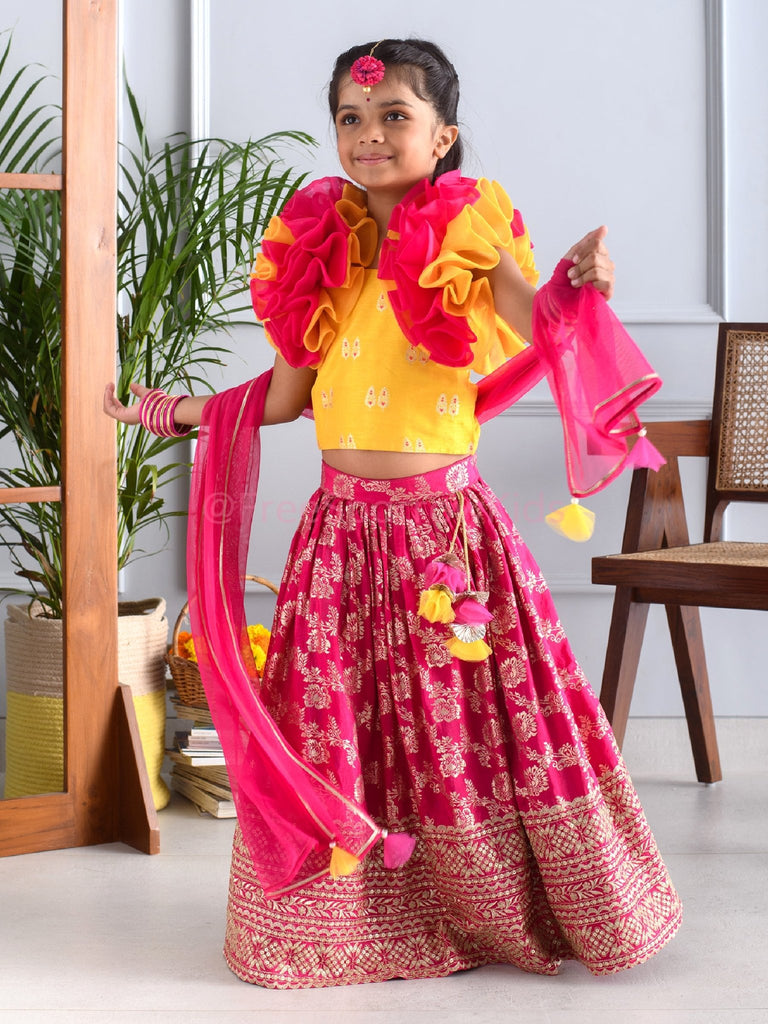 Butterfly Blush Lehenga SetLEHENGAFREE SPARROW