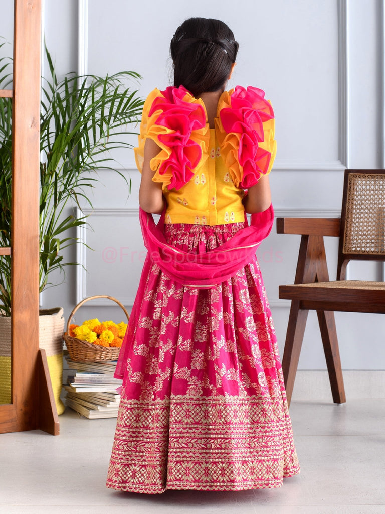 Butterfly Blush Lehenga SetLEHENGAFREE SPARROW