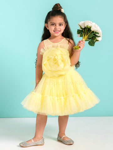 Crown Rosa Dress With Hair ClipDressFREE SPARROW
