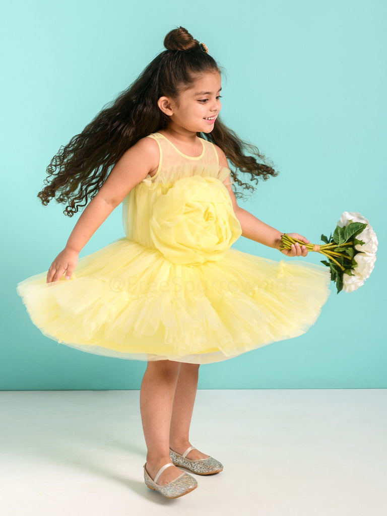 Crown Rosa Dress With Hair ClipDressFREE SPARROW