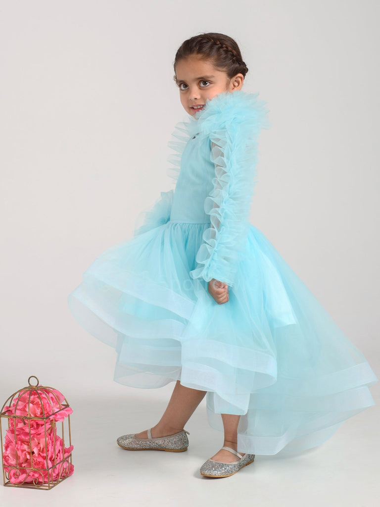 Floral Ruffle Dress With Hair ClipDressFREE SPARROW