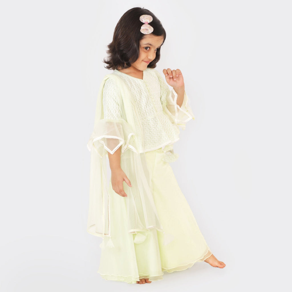 Pista Rose Peplum Sharara SetSHARARAFREE SPARROW